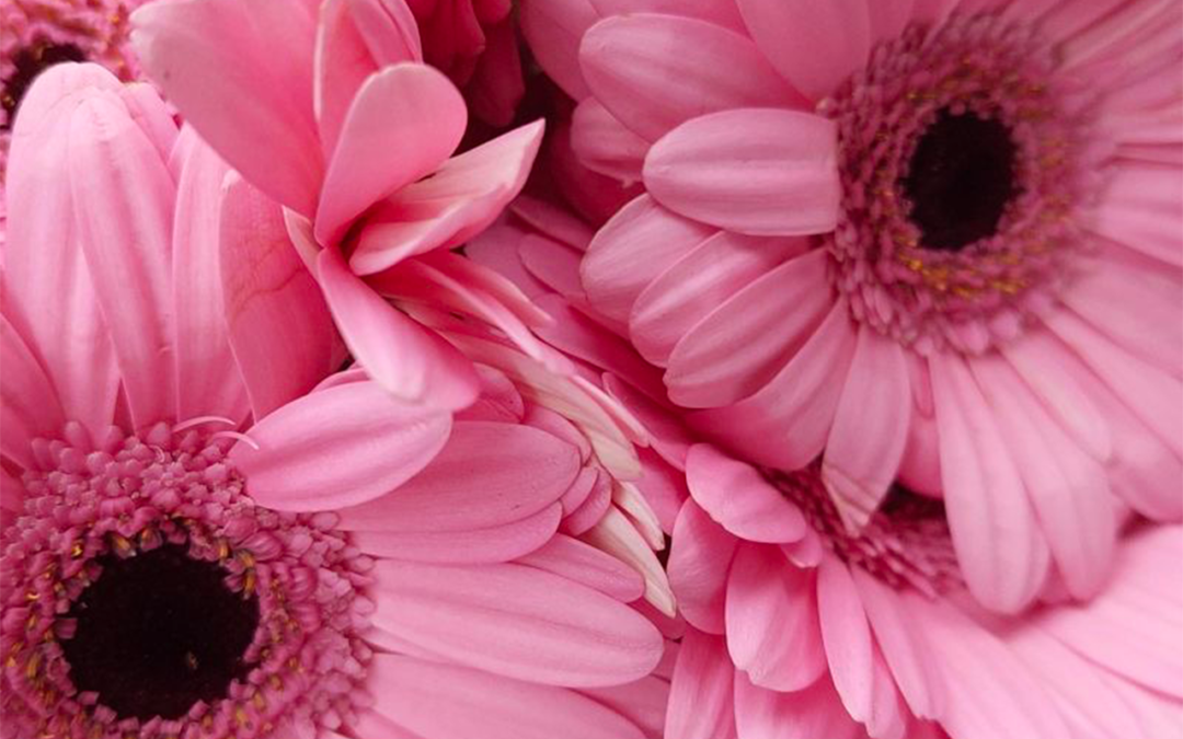 Lot Habitat s’engage pour Octobre Rose !