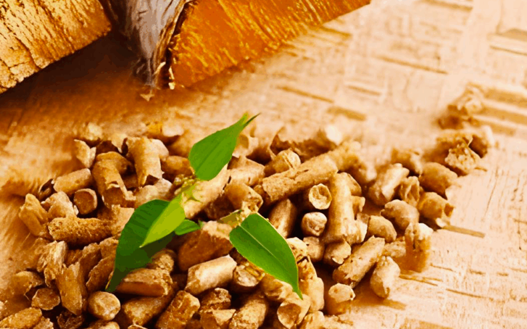 Lot Habitat et la modernisation énergétique du patrimoine !